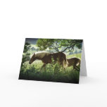 Horses In Meadow Greeting Cards