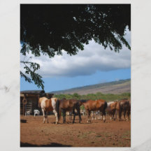 Horses In Paradise Flyer