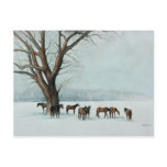 "Horses in Snow" Animal Art Postcard