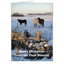 Horses-in-snow card