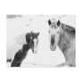 Horses In Snow Post Card
