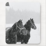 Horses in Snowfall Mouse Pads