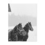 Horses in Snowfall Post Cards