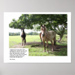 Horses in summer poster