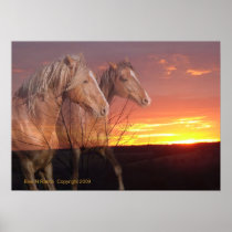 Horses in Sunrise Poster