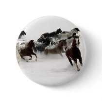 Horses in the snow