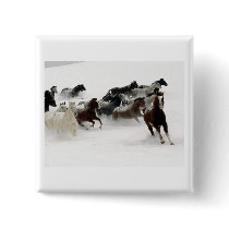Horses in the snow