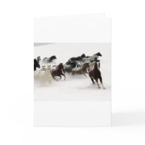Horses in the snow