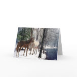 Horses In The Snow Greeting Card