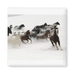Horses in the snow