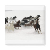 Horses in the snow
