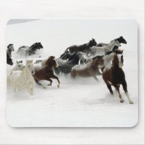 Horses in the snow