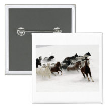 Horses in the snow pinback buttons