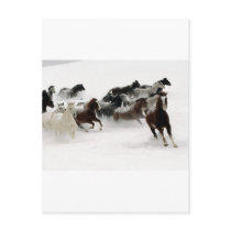 Horses in the snow