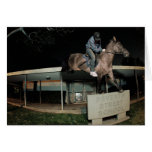 Horses in the street. cards