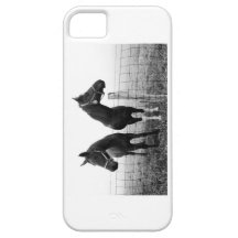 Horses in Virginia iPhone 5 Covers