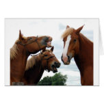 Horses laughing