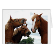 Horses laughing