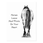 Horses Leave Hoofprints On Your Heart: Pencil Art Postcards