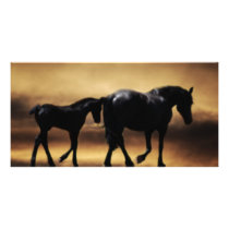 Horses mum and I Photo Cards
