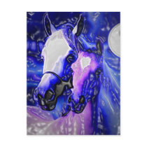 Horses & Night Post Card