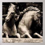 Horses of Florence Print