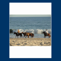 Horses on Beach postcards