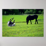 Horses Poster