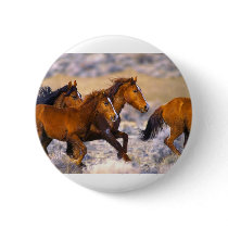 Horses running