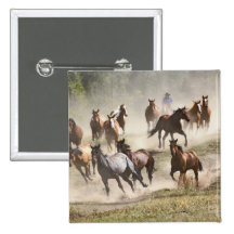 Horses running during roundup, Montana Pinback Button