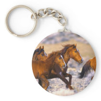 Horses running