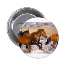 Horses running pinback button