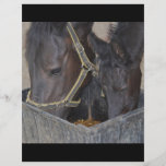 Horses sharing flyer