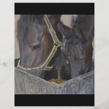 Horses sharing flyer
