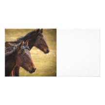 Horses Side By Side Photo Card
