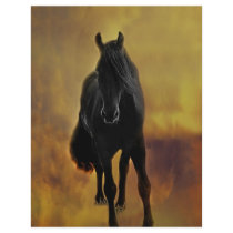 Horses silhouette flyers