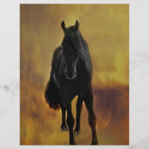 Horses silhouette flyers