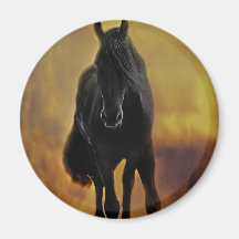 Horses silhouette fridge magnets