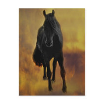 Horses silhouette postcards