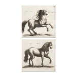 Horses Vintage Illustration Wrapped Canvas Prints