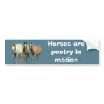 Horses Wild and Wonderful Bumper Sticker bumper stickers