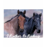 Horses Wild and Wonderful Ladies T-Shirt