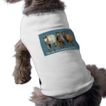 Horses Wild and Wonderful Pet Clothing pet clothing
