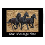 Horses Wild Card
