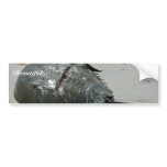 Horseshoe Crab Bumper Sticker