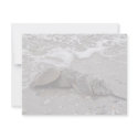Horseshoe Crab invitations