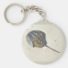 Horseshoe Crab Keychain