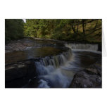 Horseshoe Fall cards