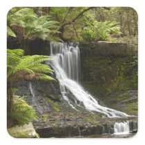 Horseshoe Falls, Mount Field National Park,
