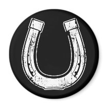 horseshoe magnet